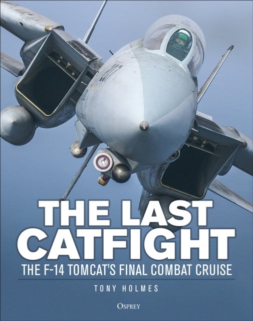 The Last Catfight - The F-14 Tomcat's final combat cruise