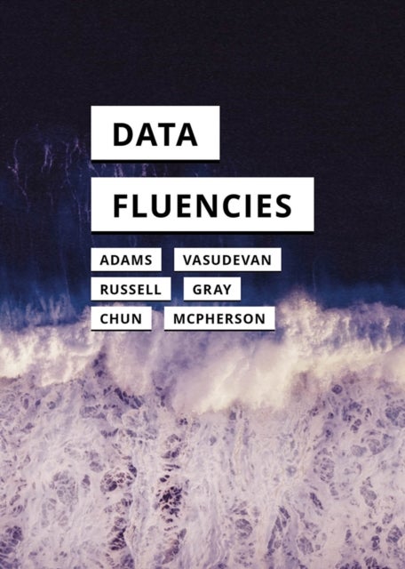 Data Fluencies