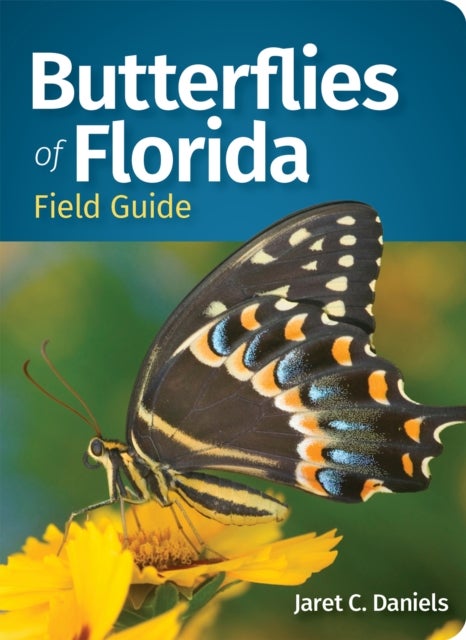 Butterflies of Florida Field Guide