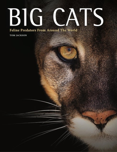 Big Cats - Feline Predators From Around The World