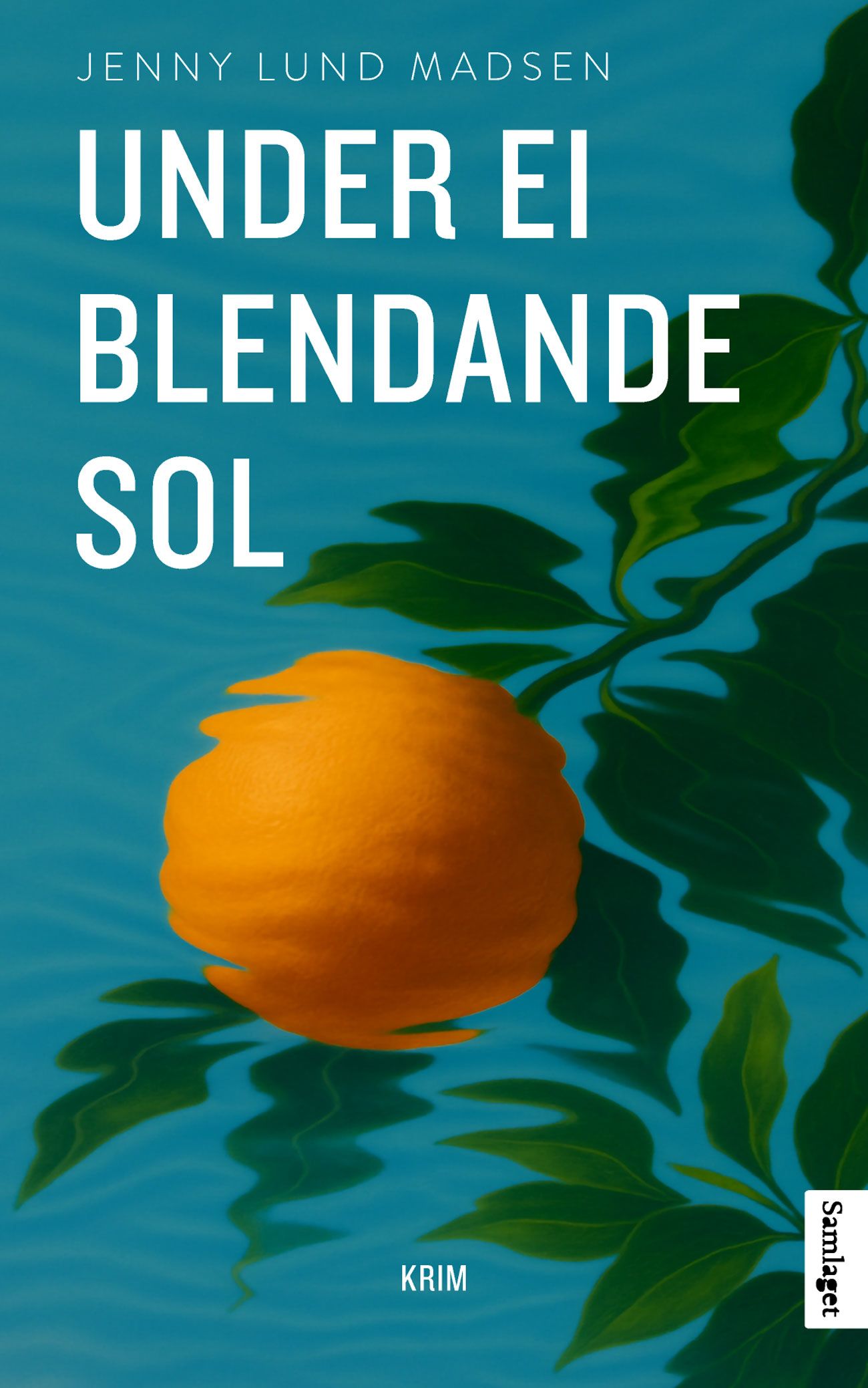 Under ei blendande sol