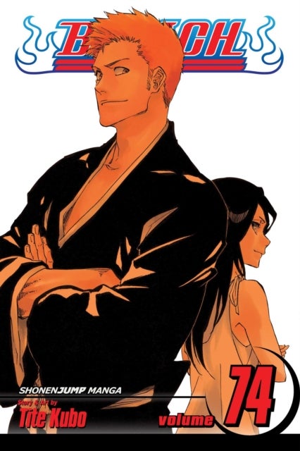 Bleach, Vol. 74 - The Death and the Strawberry