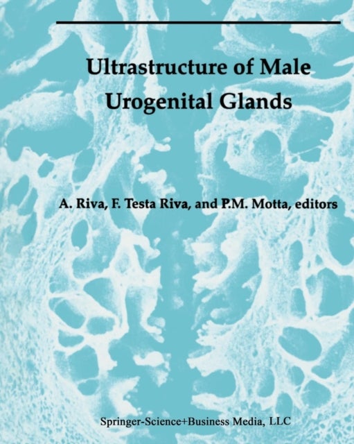 Ultrastructure of the Male Urogenital Glands - Prostate, Seminal Vesicles, Urethral, and Bulbourethral Glands