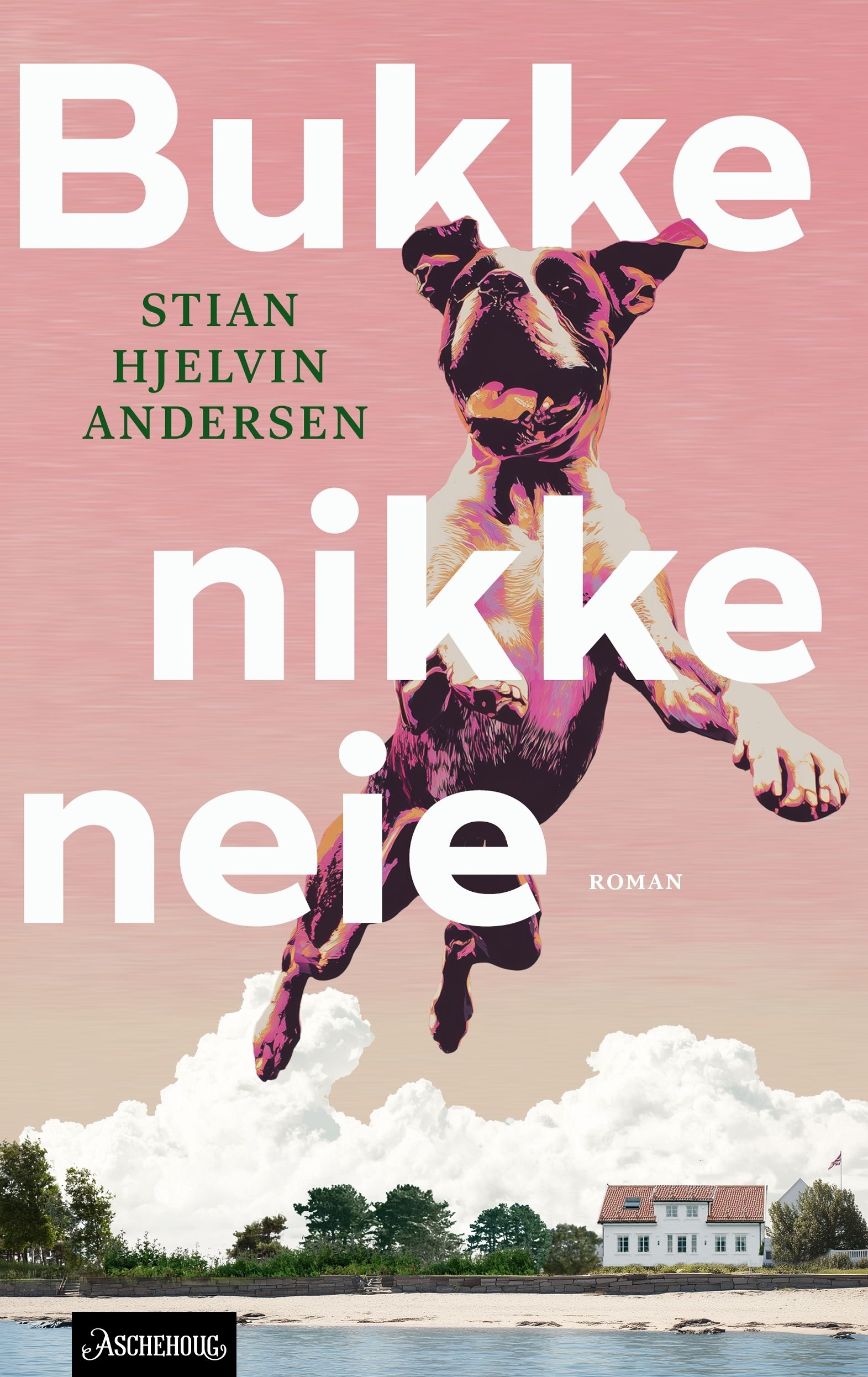 Bukke nikke neie