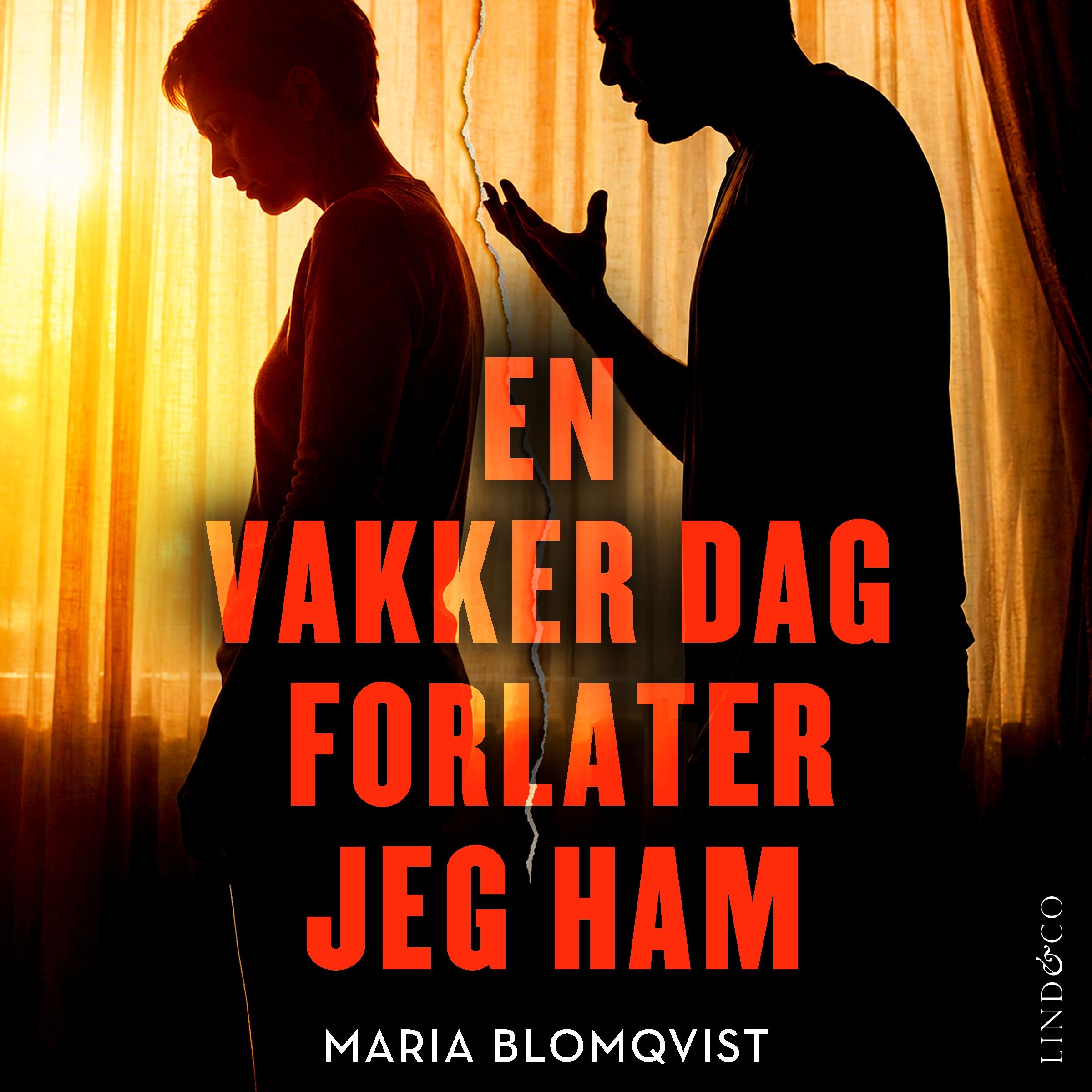 En vakker dag forlater&nbsp;jeg ham