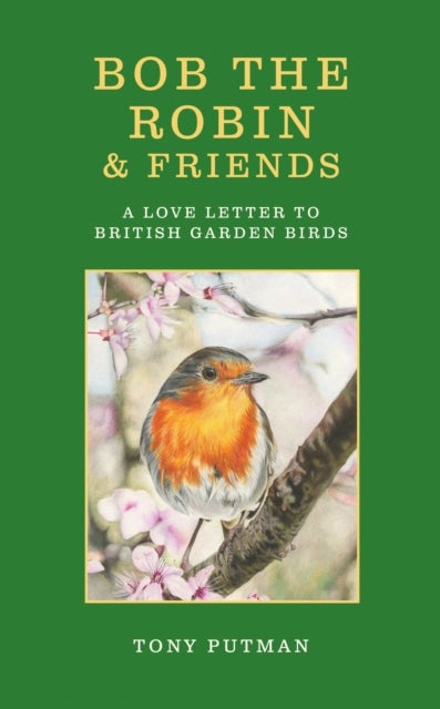 Bob the Robin & Friends - A Love Letter to British Garden Birds