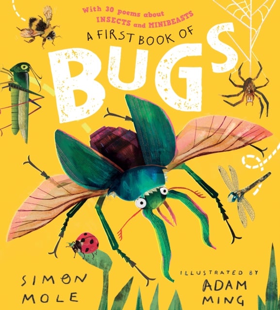 A First Book of Bugs: with 30 poems about insects and minibeasts - Find out about insects in this funny and colourful collection of over 30 poems all about bugs