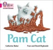 Pam Cat