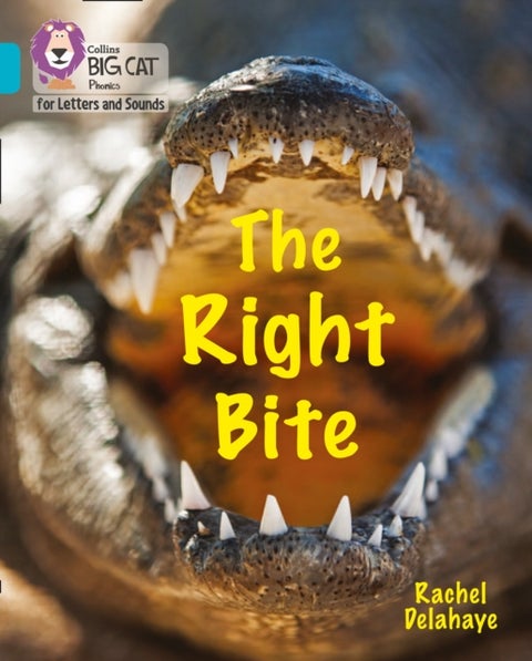 The Right Bite - Band 07/Turquoise