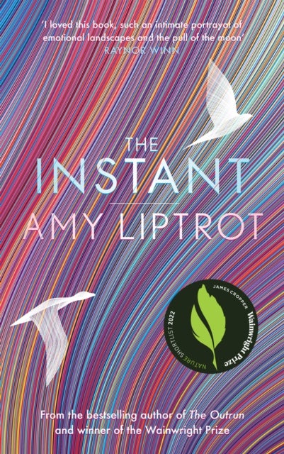 The Instant - Sunday Times Bestseller