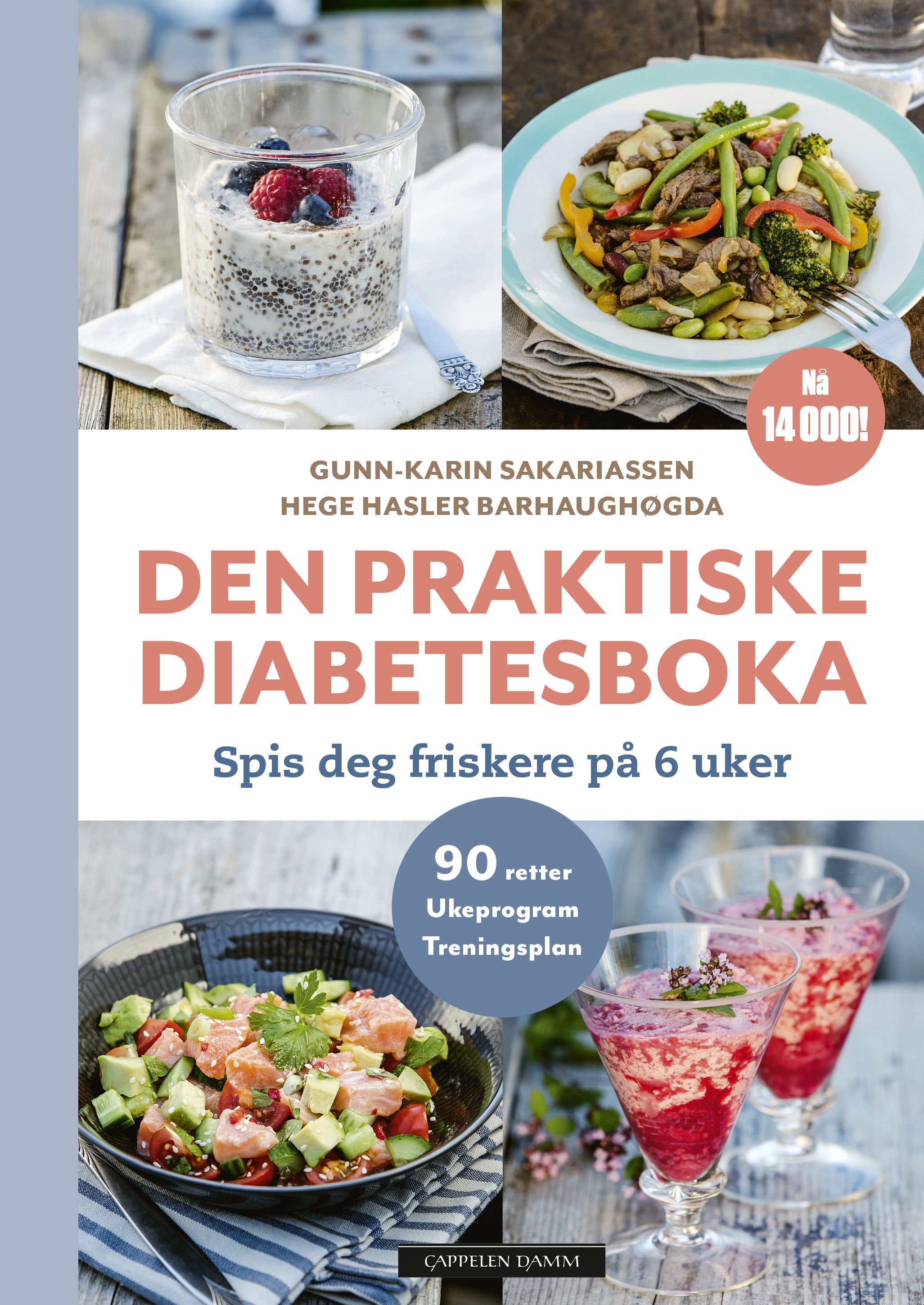 Den praktiske diabetesboka - spis deg frisk på 6 uker