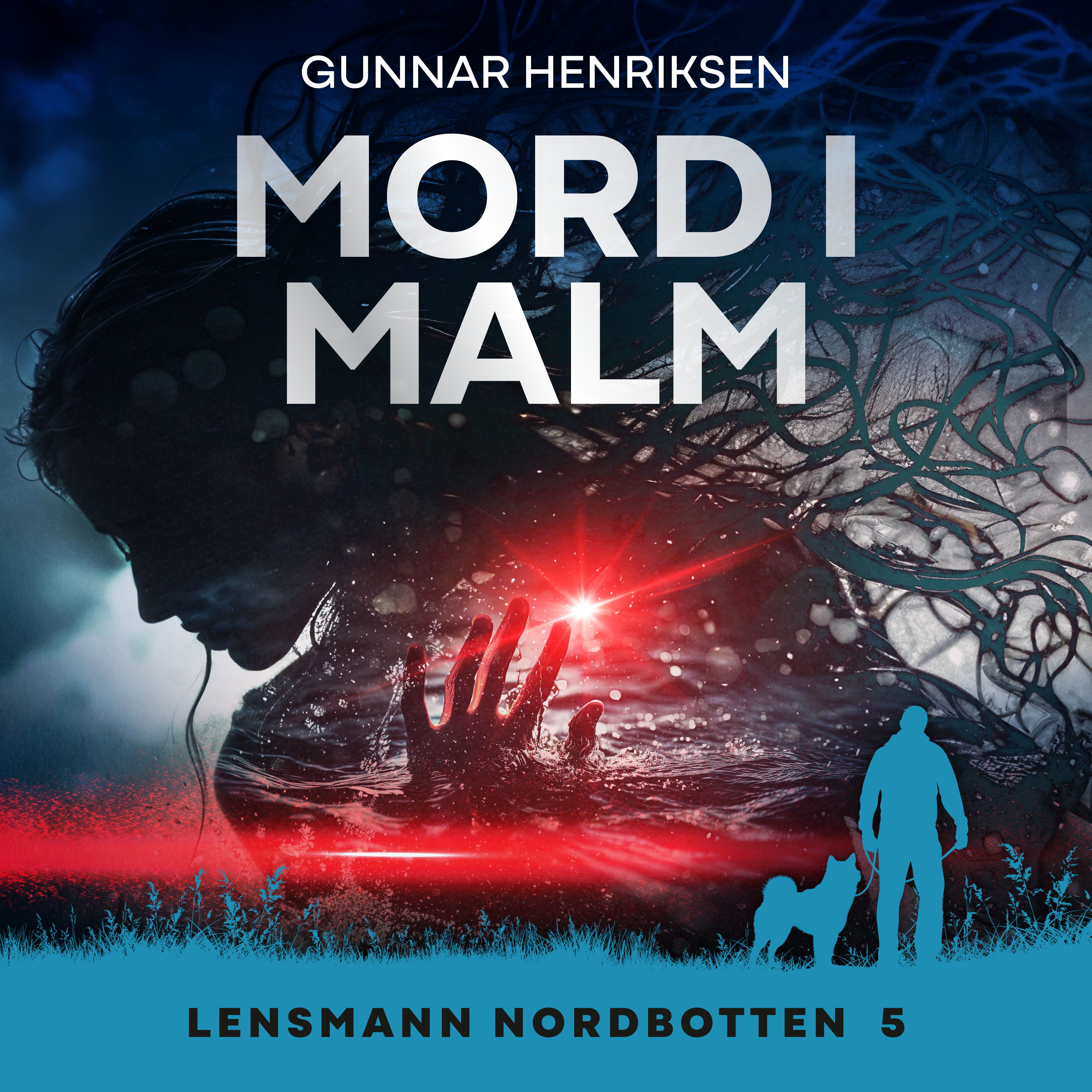 Mord i Malm