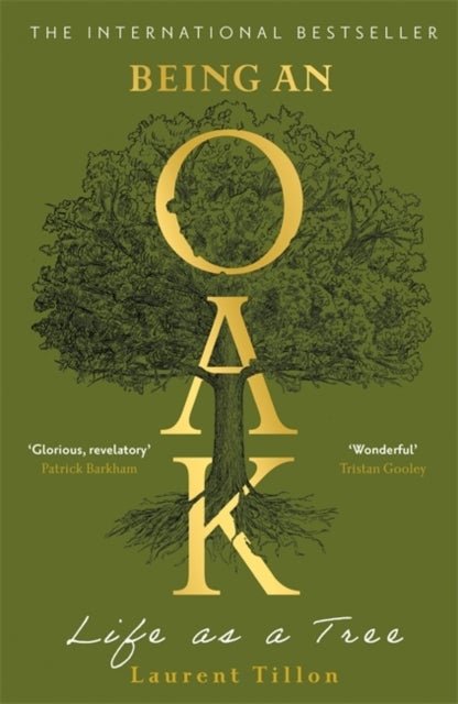 Being an Oak - Life as a tree