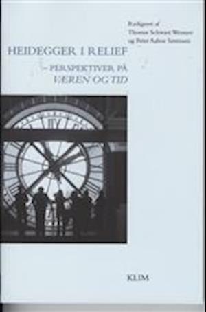Heidegger i relief - perspektiver på Væren og tid