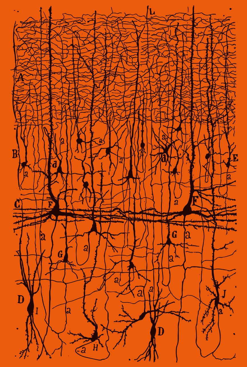 Parapoetica