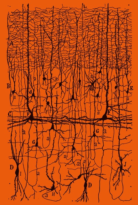 Parapoetica