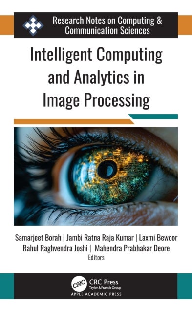 Intelligent Computing and Analytics in Image Processing