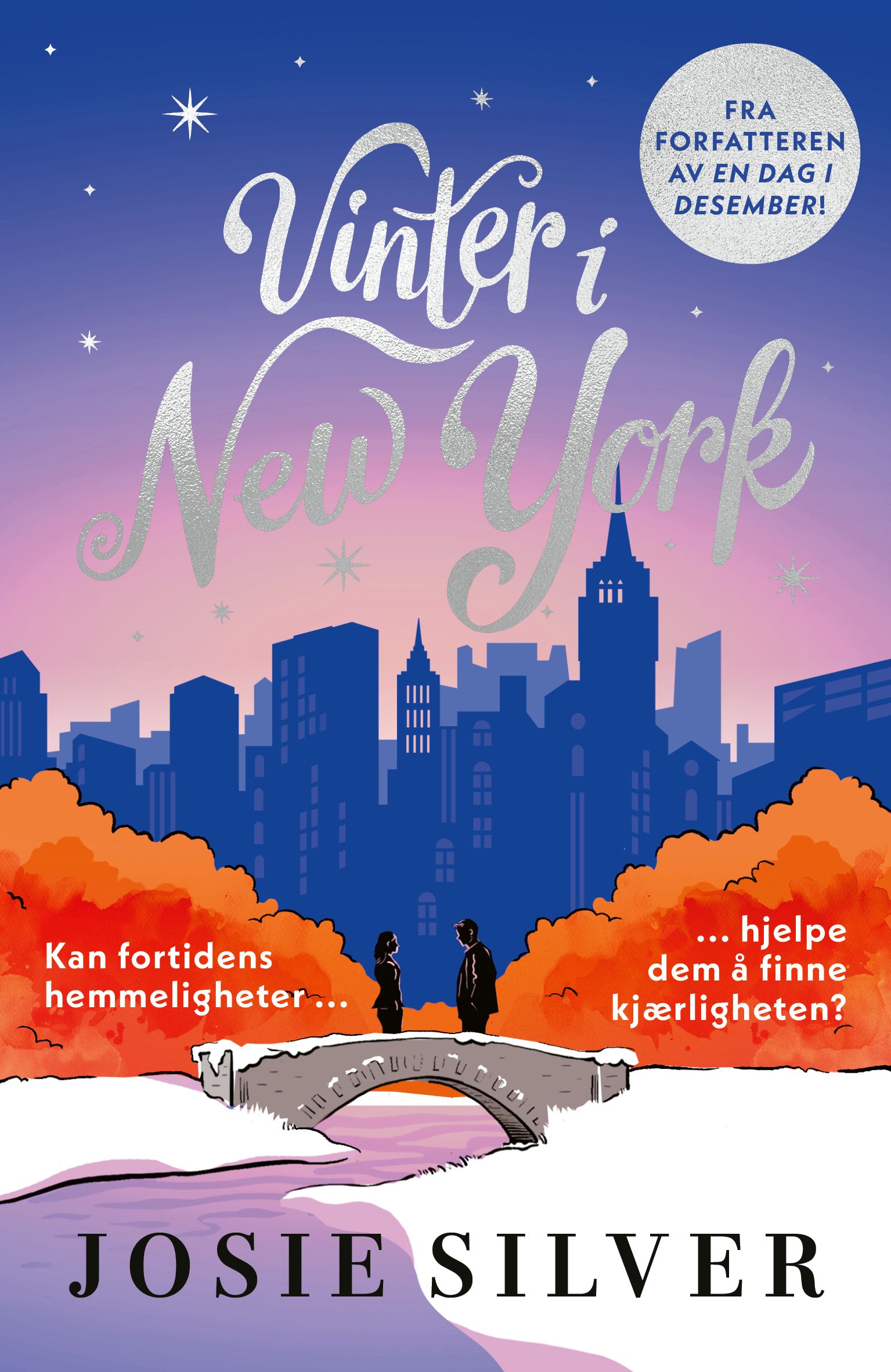 Vinter i New York