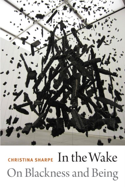 In the Wake - On Blackness and Being