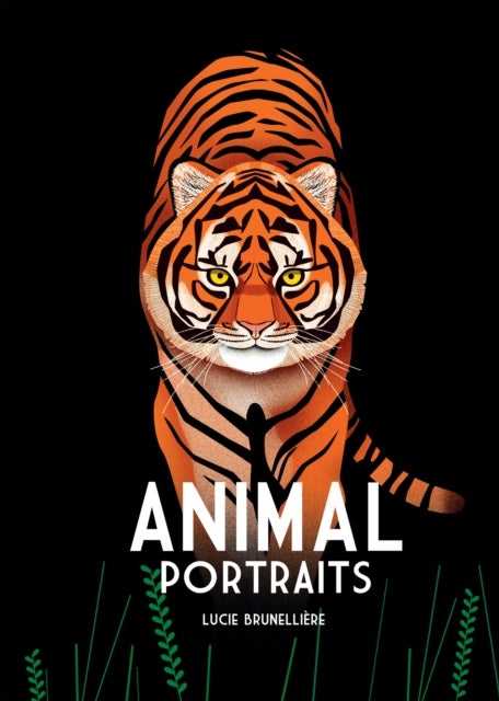 Animal Portraits