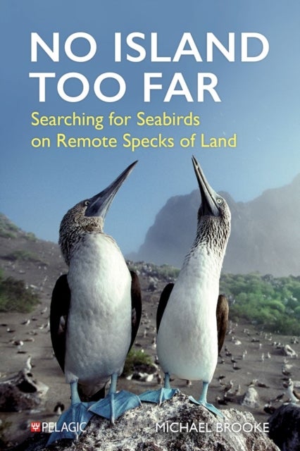 No Island Too Far - Searching for Seabirds on Remote Specks of Land
