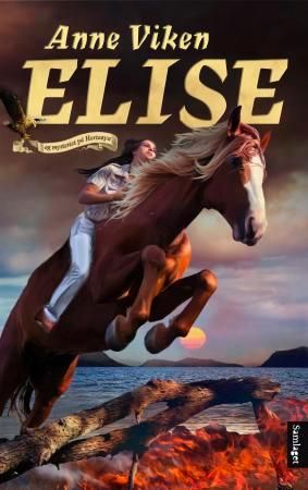 Elise og mysteriet på Hesteøya - roman