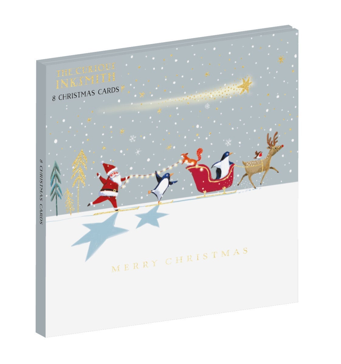 Julekort 8pk Skiing with the stars