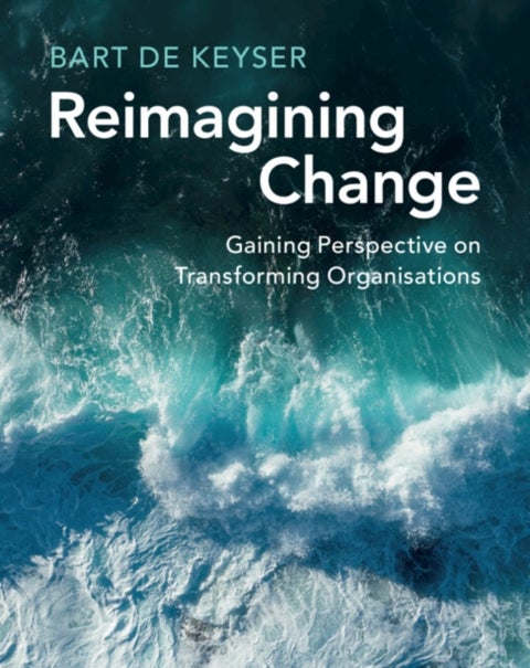 Reimagining Change - Gaining Perspective on Transforming Organisations