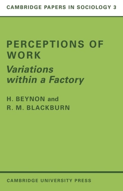 Perceptions of Work - Variations within a Factory