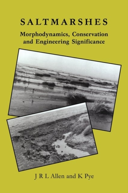 Saltmarshes - Morphodynamics, Conservation and Engineering Significance