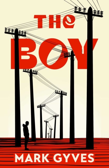 The Boy - A searing, unflinching debut that announces a major new voice in Irish fiction