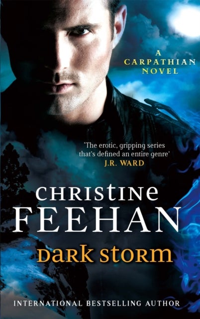 Dark Storm - Number 23 in series