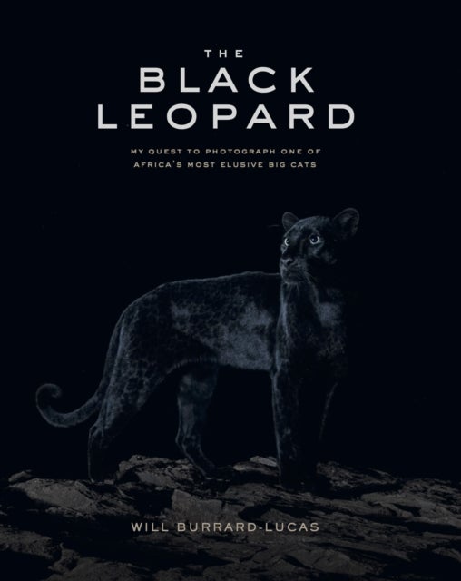 The Black Leopard - My Quest to Photograph One of Africa's Most Elusive Big Cats