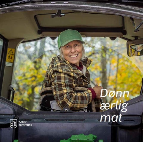 Dønn ærlig mat