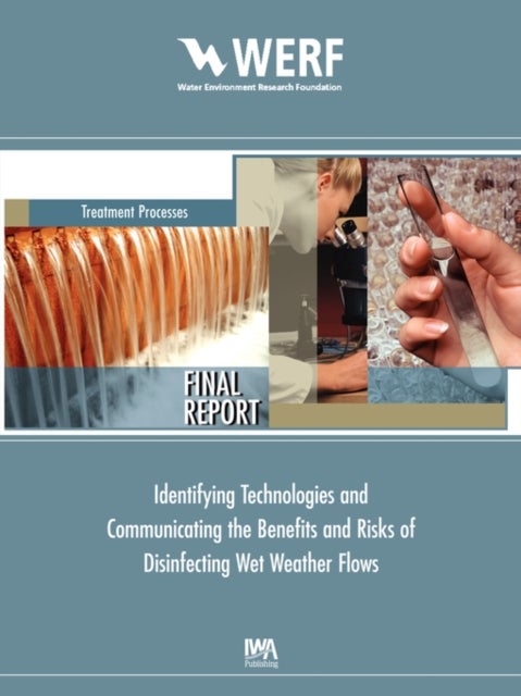 Identifying and Communicating the Benefits and Risks of Disinfecting Wet Weather Flows