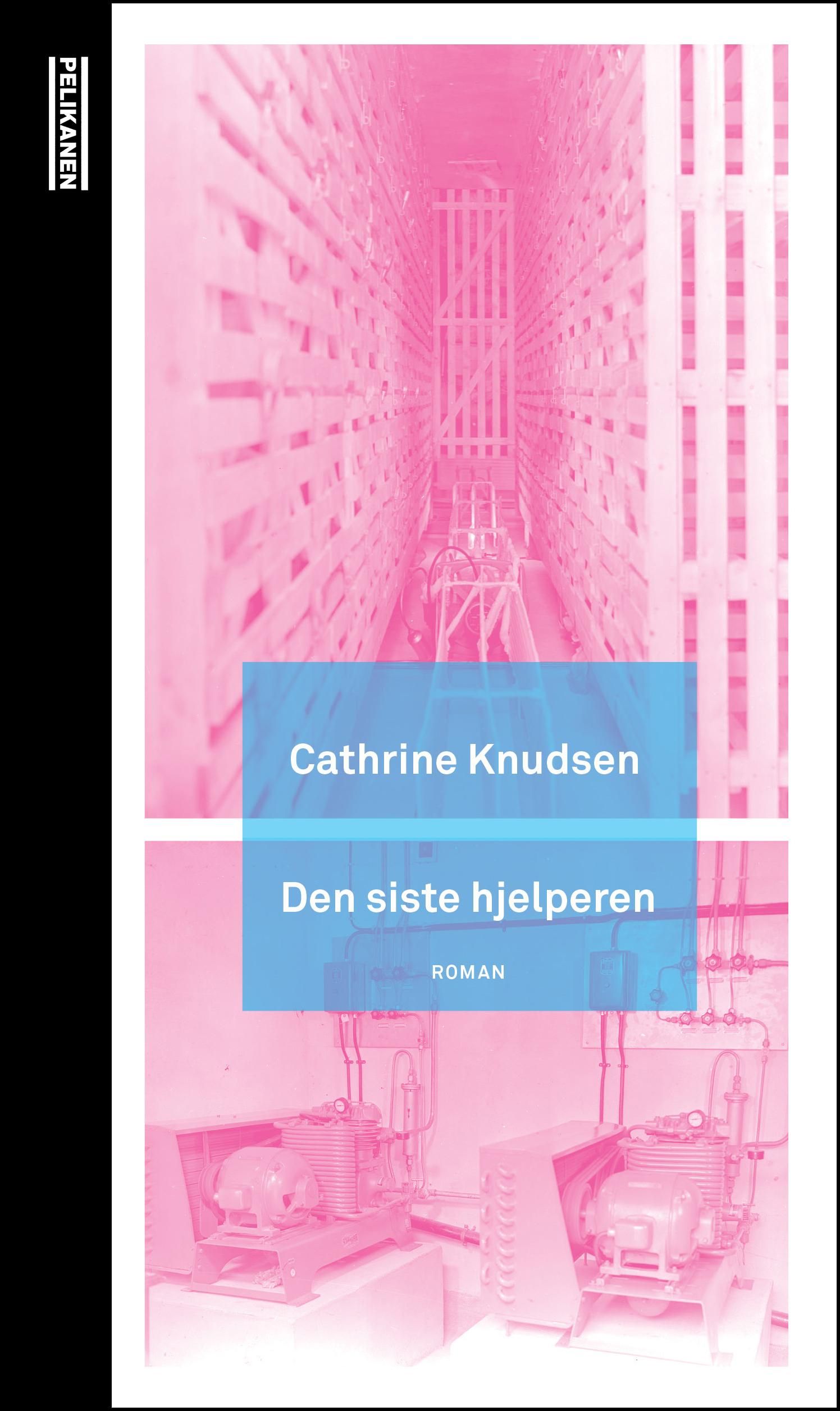 Den siste hjelperen - roman