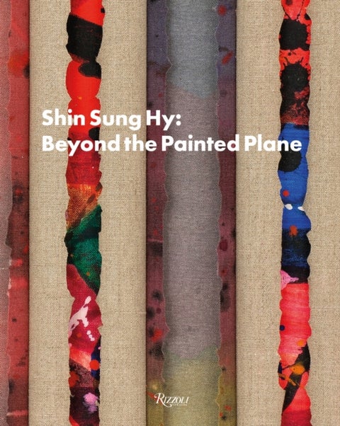 Shin Sung Hy - Beyond the Painted Plane