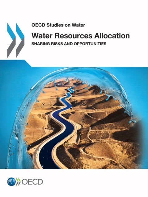 Water Resources Allocation - Sharing Risks and Opportunities