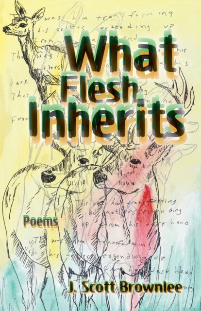 What Flesh Inherits, Volume 14 - Poems