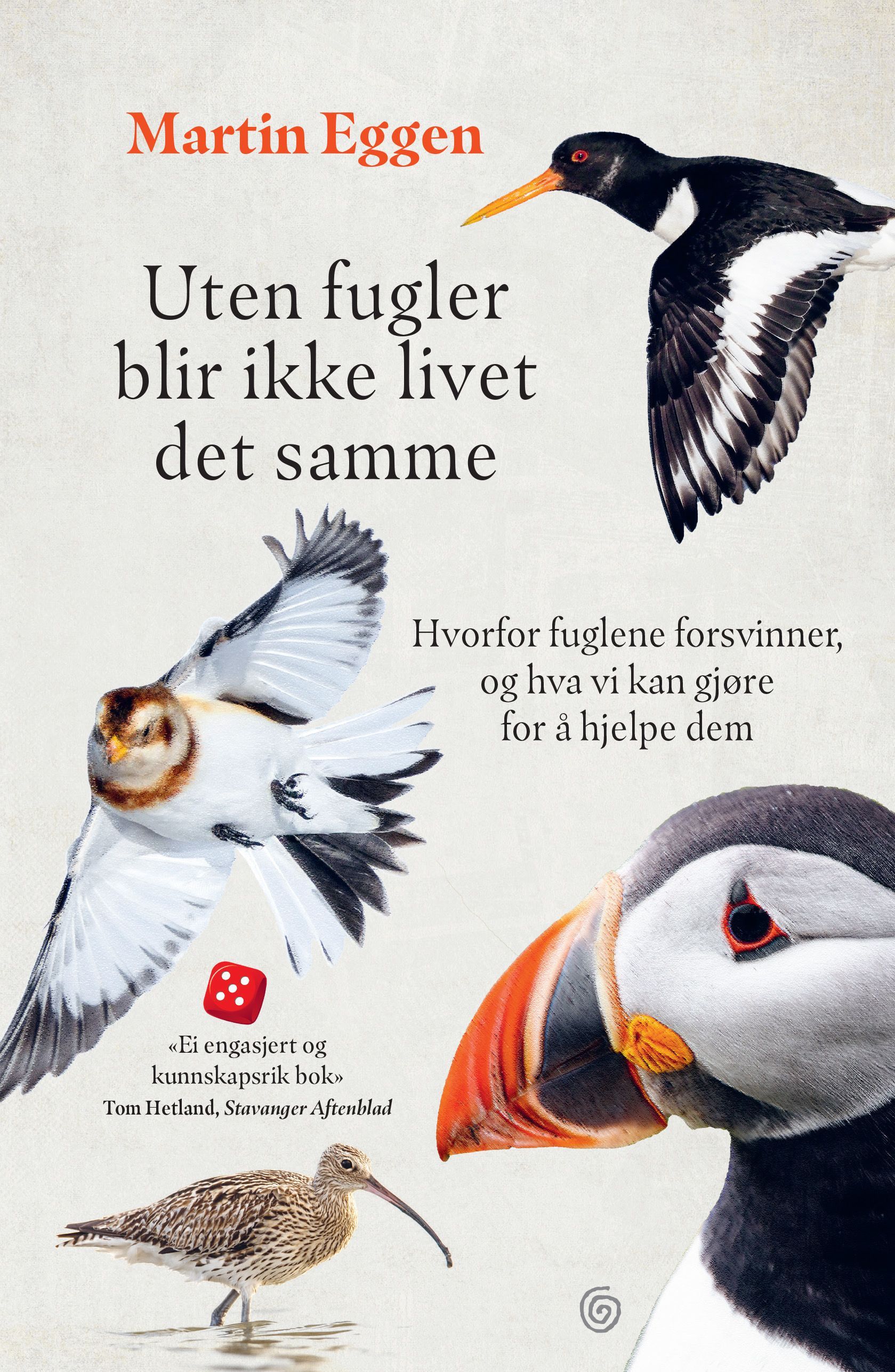 Uten fugler blir livet ikke det samme - hvorfor fuglene forsvinner, og hva vi kan gjøre for å hjelpe dem