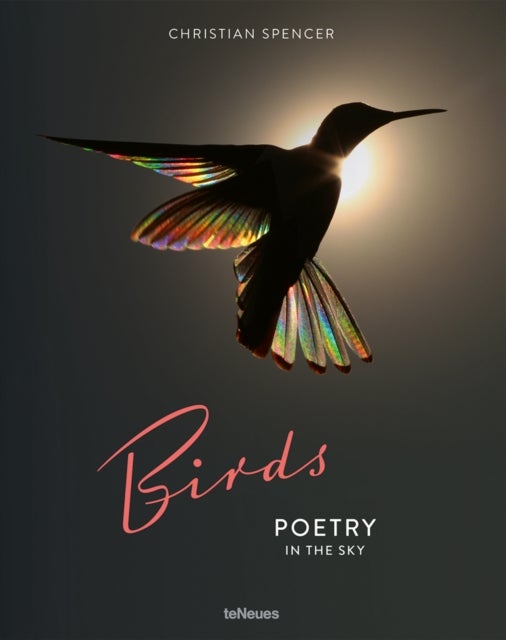 Birds - Poetry in the Sky