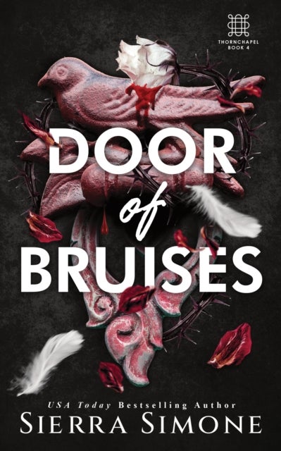 Door of Bruises - A Spicy Enemies to Lovers Dark Academia Romance (Thornchapel Book 4)