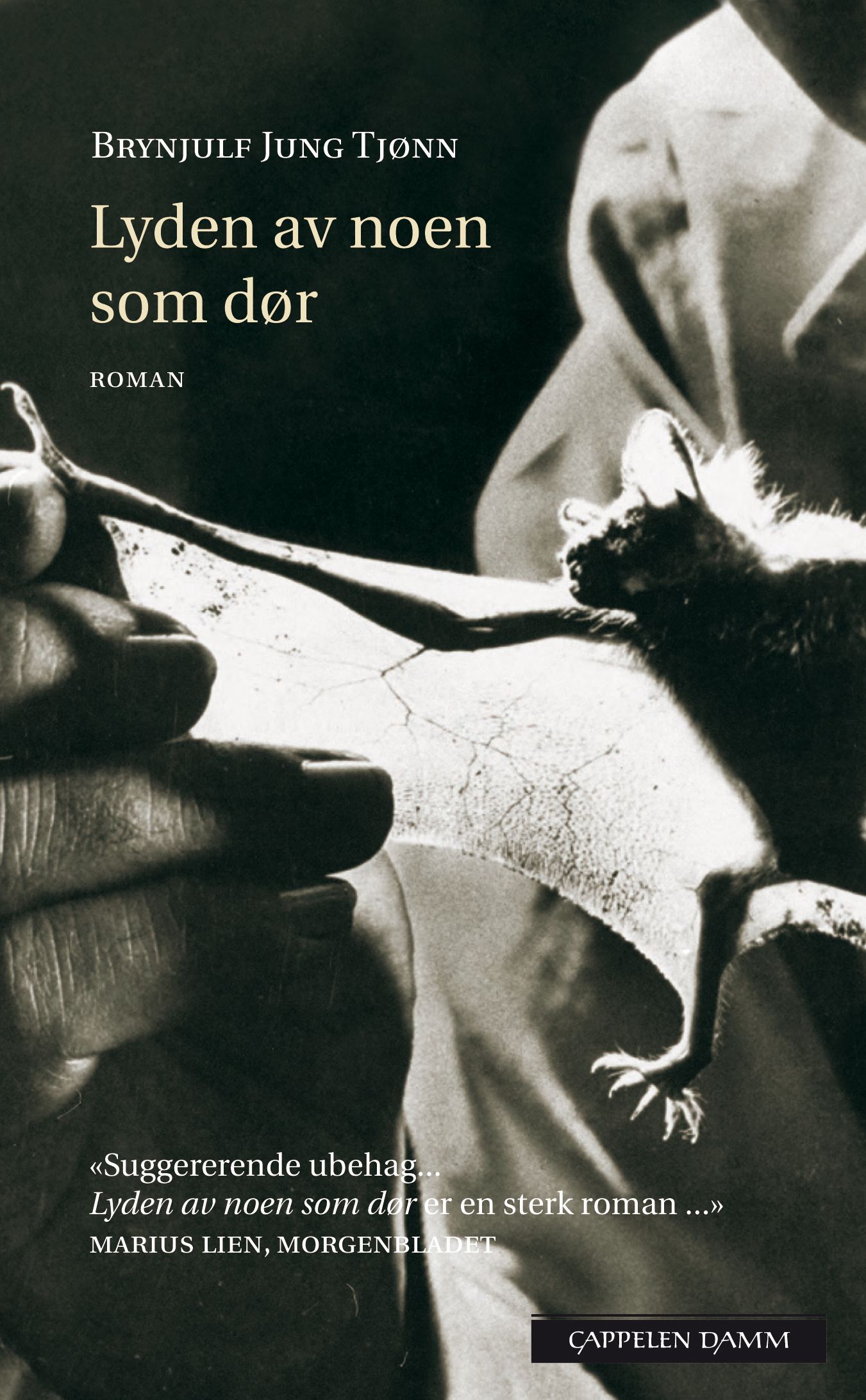 Lyden av noen som dør - roman