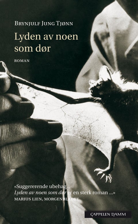 Lyden av noen som dør - roman