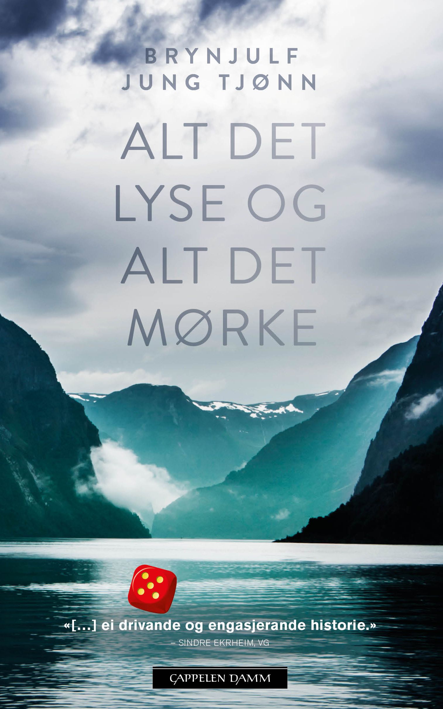 Alt det lyse og alt det mørke - roman
