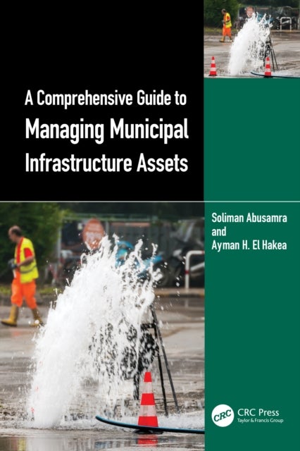 A Comprehensive Guide to Managing Municipal Infrastructure Assets