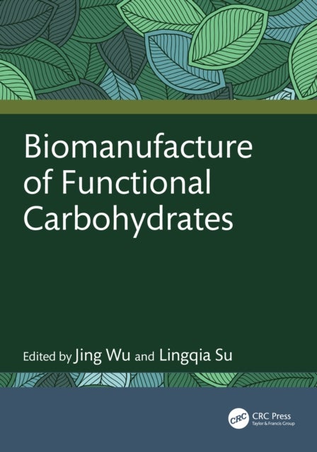 Biomanufacture of Functional Carbohydrates