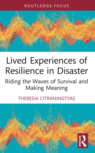 Lived Experiences of Resilience in Disaster - Riding the Waves of Survival and Making Meaning