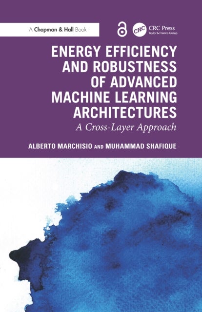 Energy Efficiency and Robustness of Advanced Machine Learning Architectures - A Cross-Layer Approach