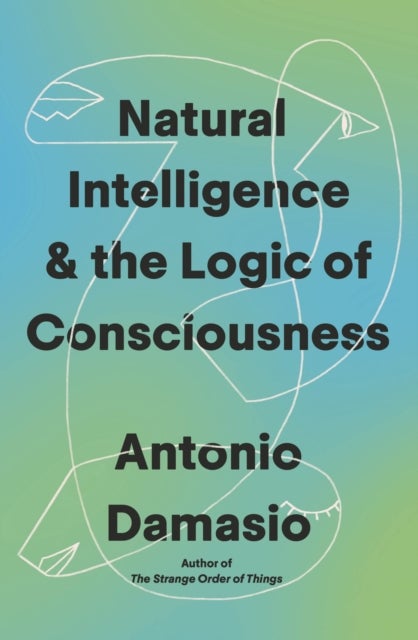 Human Consciousness
